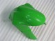 Verde Kits Completo Carenagem Kawasaki ZX6R 2005-2006 Verde Kits Completo Carenagem Kawasaki ZX6R 2005-2006