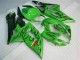 Verde Plástico Suzuki GSXR 1000 K5 2005-2006 Verde Plástico Suzuki GSXR 1000 K5 2005-2006