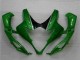 Verde Plásticos Suzuki GSXR 1000 K5 2005-2006 Verde Plásticos Suzuki GSXR 1000 K5 2005-2006