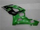 Verde Plásticos Suzuki GSXR 1000 K5 2005-2006 Verde Plásticos Suzuki GSXR 1000 K5 2005-2006