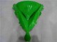 Verde Preto Carenagem Kawasaki EX650 2006-2008