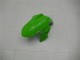 Verde Preto Prata Carenagem Kawasaki EX300 2013-2016 Verde Preto Prata Carenagem Kawasaki EX300 2013-2016