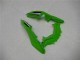 Verde Preto Prata Carenagem Kawasaki EX300 2013-2016 Verde Preto Prata Carenagem Kawasaki EX300 2013-2016