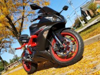 Refiz as carenagens da minha ZX6R e, a princípio, estava cético em relação à possibilidade de recorrer ao aftermarket. O Erick ajudou-me durante todo o processo, mantendo o contacto comigo e respondendo a todas as minhas questões. O serviço ao cliente foi ótimo e o produto era incrível. Foi uma instalação fácil e agora a minha bicicleta está incrível! Já recomendei este site aos meus amigos e certamente voltarei se precisar de carenagens novamente!